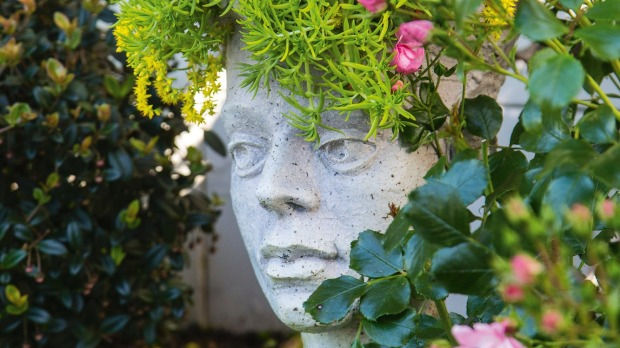 Succulent hair