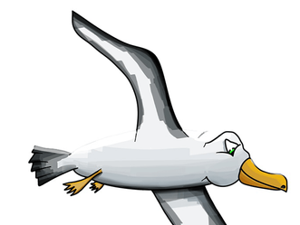 OGÓLNOPOLSKi FESTIWAL FILMÓW UCZNIOWSKICH „MŁODE ALBATROSY 2019″