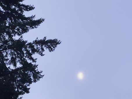 January 11, 2026 Rest and Relaxation