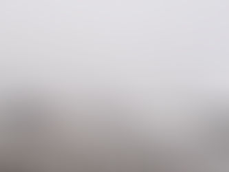 January 7, 2026 A Walk Into The New Year