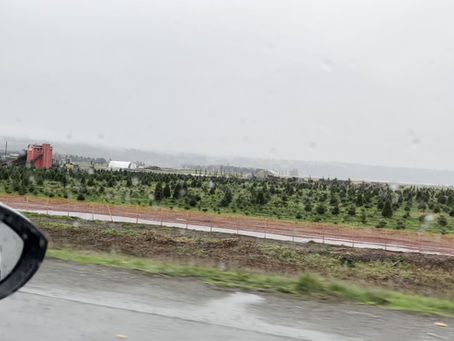 December 26, 2025 Brainstorming Hopes For The Future