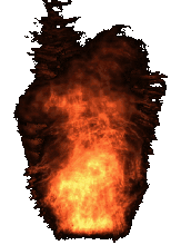 fire2.gif
