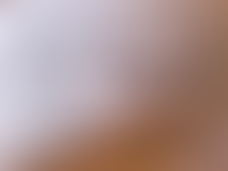 2月3日臨時休業