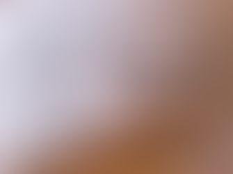 2月3日臨時休業