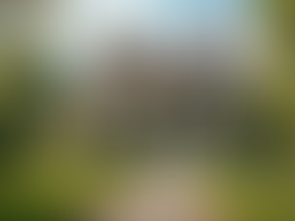 Unique Exterior Designs for Curb Appeal Success