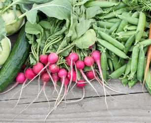 Spring Into Health: The Vegan-Wise Guide to Seasonal Eating and Ayurvedic Wisdom