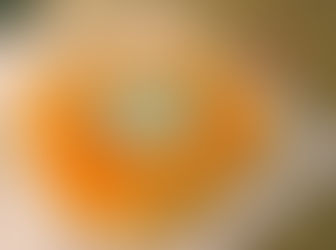 July | The Alchemist