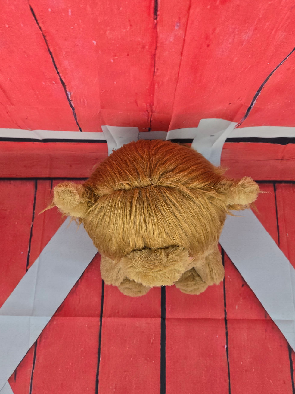 Thumbnail: Highland Cow Potato Plushie