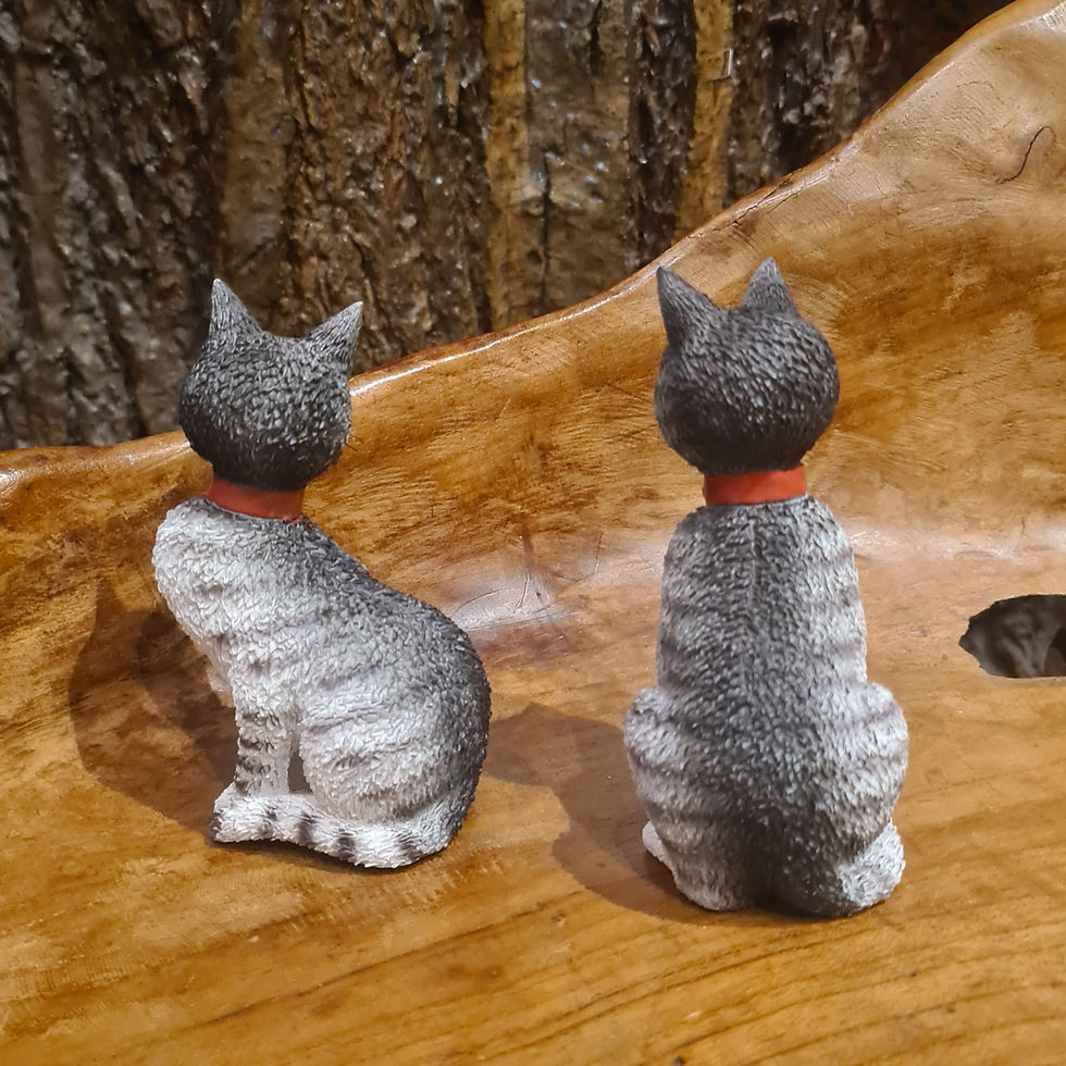 Thumbnail: Irresistible black kitty dubout cat cats  grey grijs