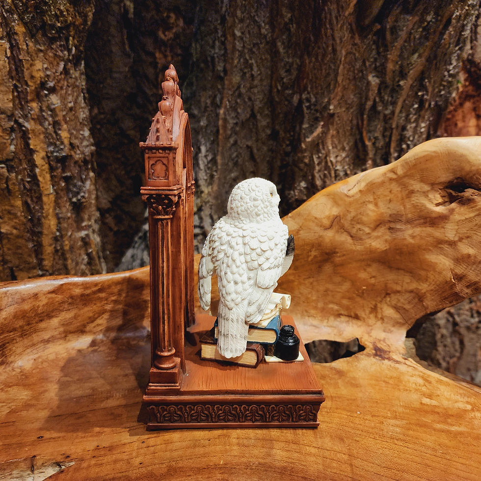 Thumbnail: Through the window, owl statue beeldje figurine forest creatures animals
