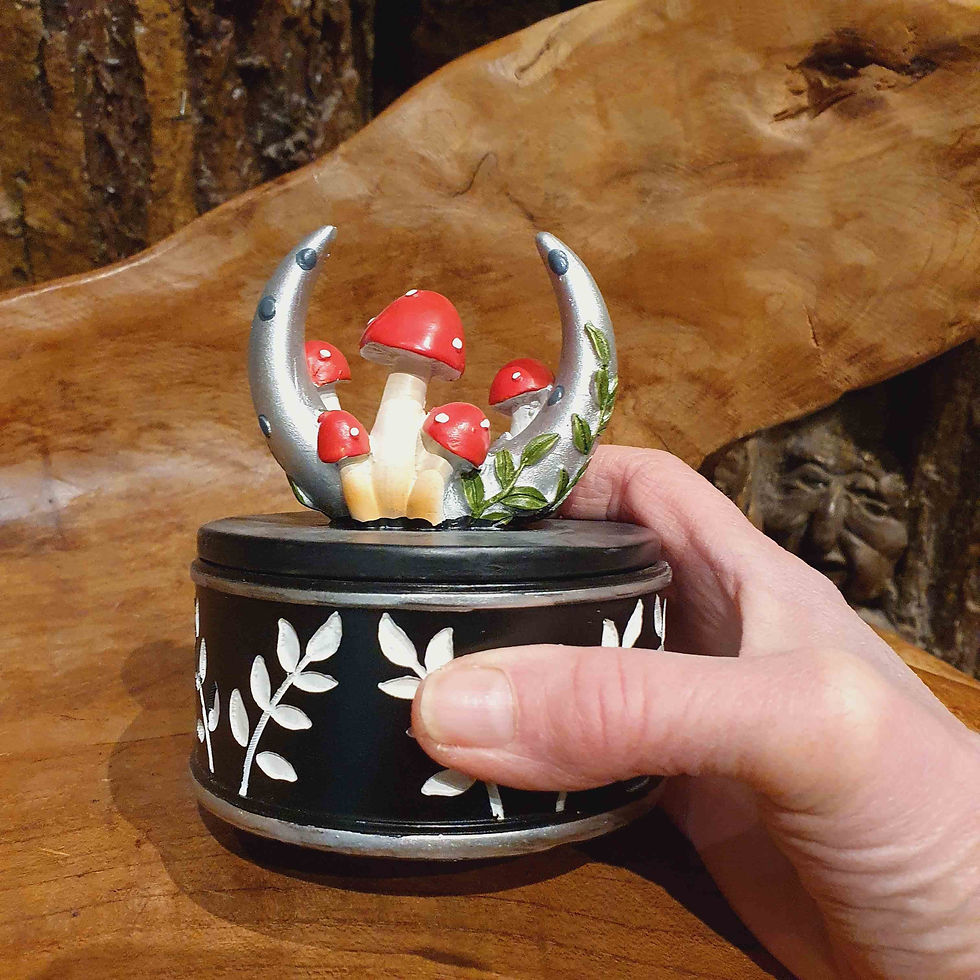 Thumbnail: mystic shroom triket box mushrooms toadstool paddenstoelen doosje fantasy winkel amsterdam