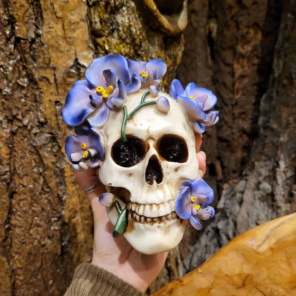 Thumbnail: Orchid skull orchidee bloemen bloem flowers flower schedel alternatief alternative altar altaar figure beeld death