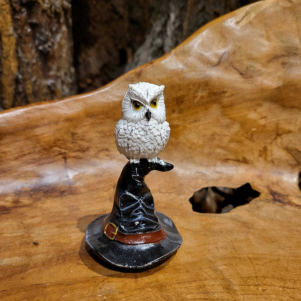 sorting out owl uil toverhoed hoed wizardhat witchhat magic magie fantasy fantasie white