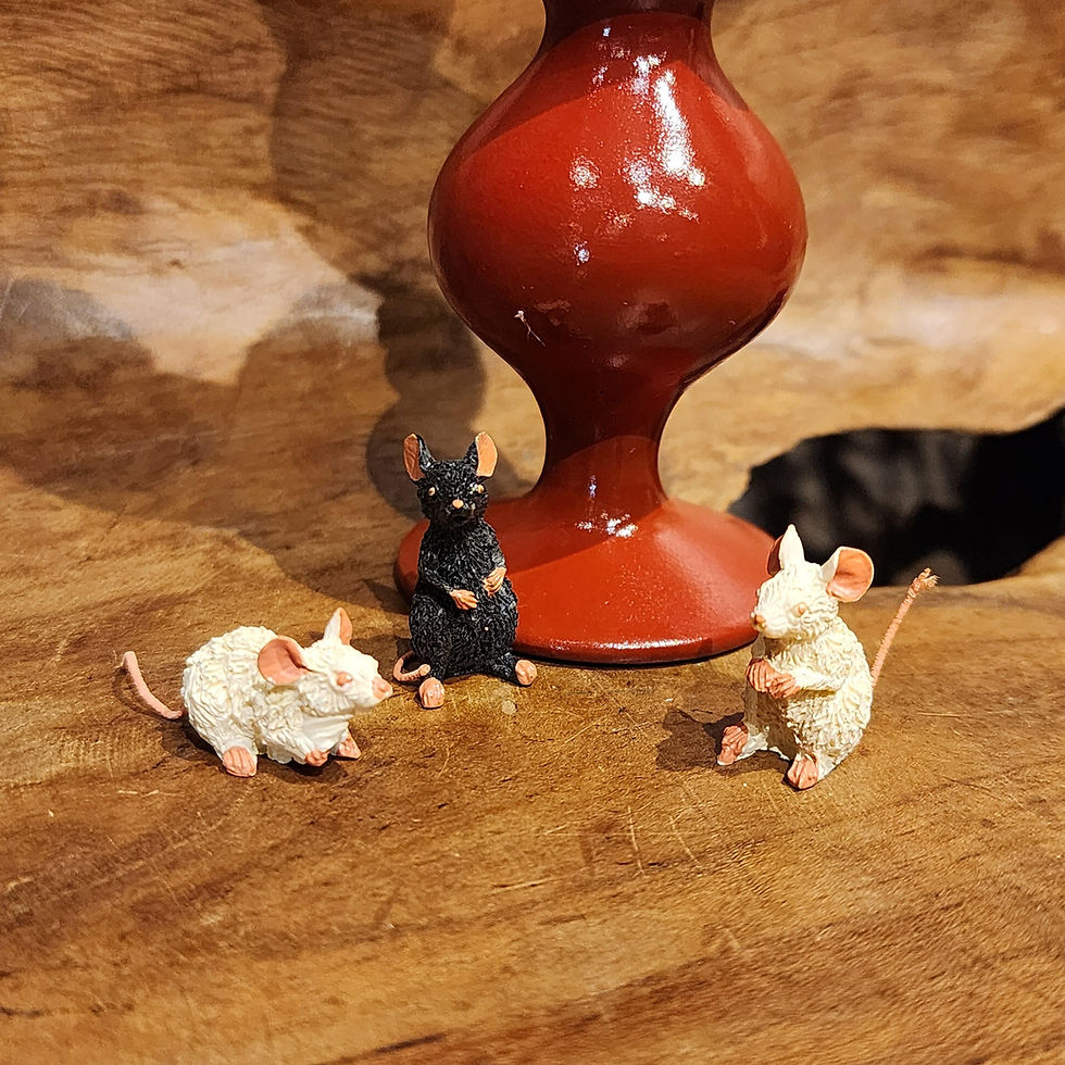 Thumbnail: escape plan dubout cat kat mouse muis black kitty