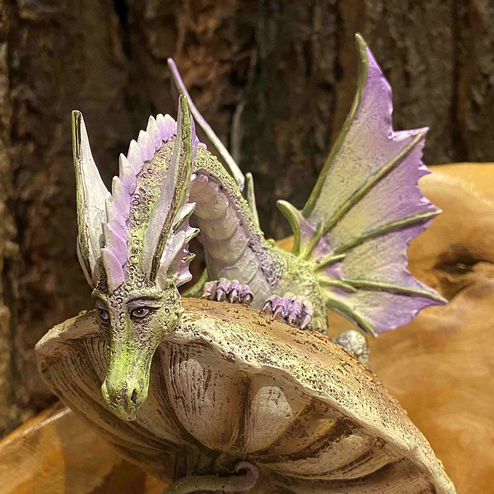 Thumbnail: storyteller fairy dragon pixie elf reading mushroom friends purple fantasyshop chimera