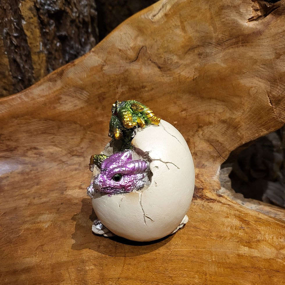 Thumbnail: dragon egg babies fantasy-shop-winkel