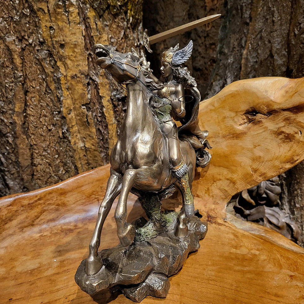 Thumbnail: valkyrie walküre walkure mythology figurine viking lady warrior vrouwenbeeld noorse mythologie brons beelden kopen winkel