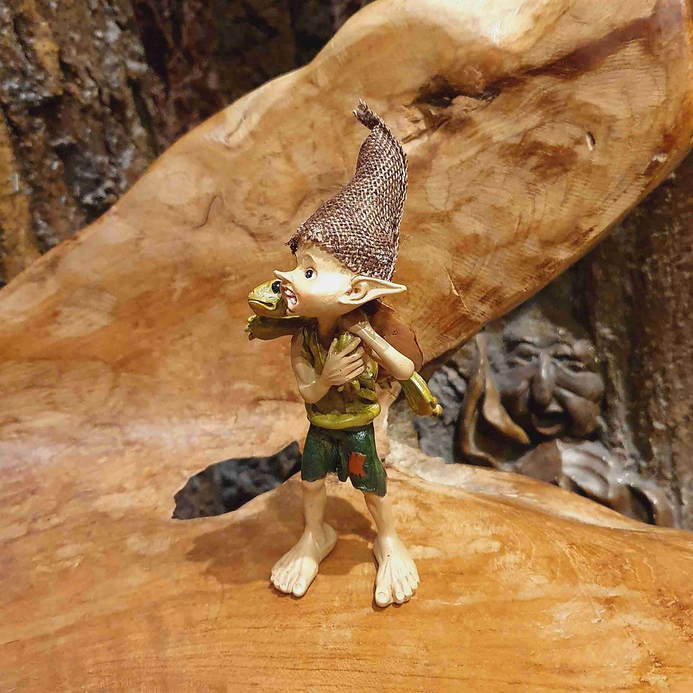 Thumbnail: i'll carry you pixie pixies turtle schildpad kabouters friends vrienden fantasy fantasyshop chimera