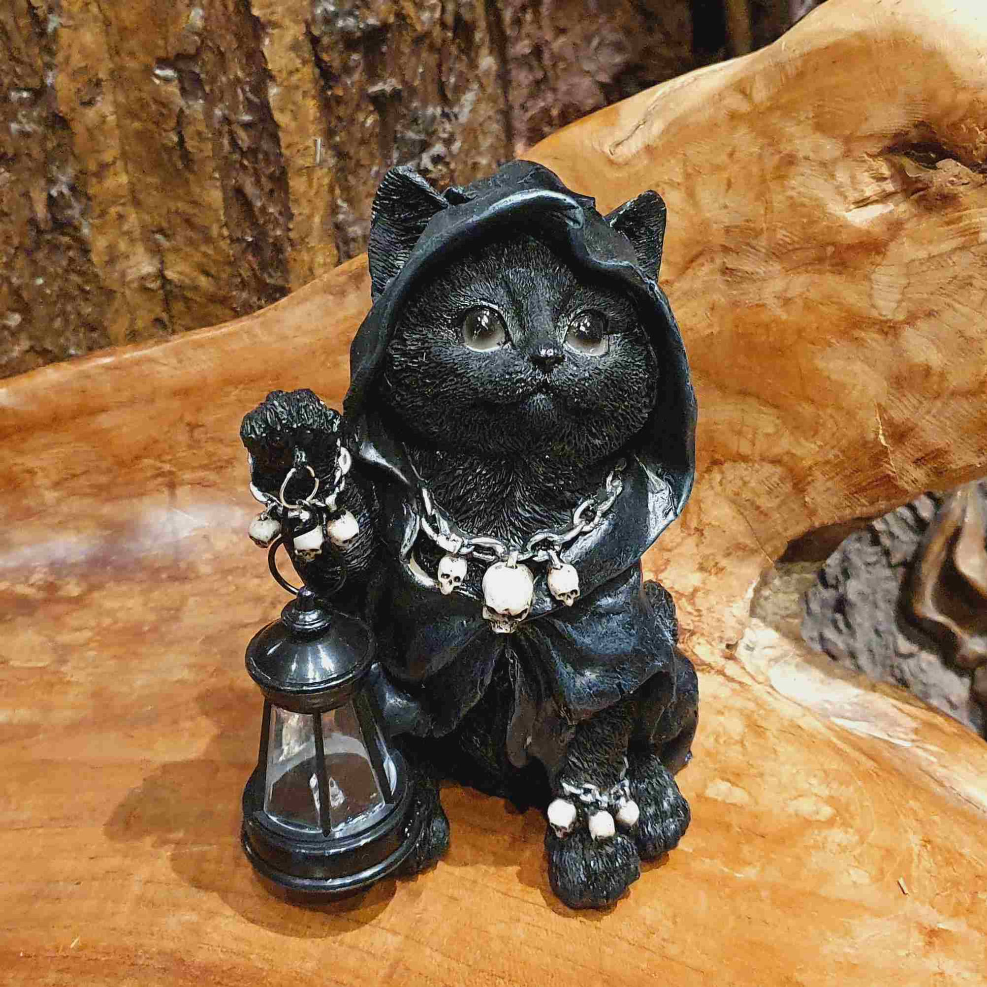 Licht in de schaduw kat