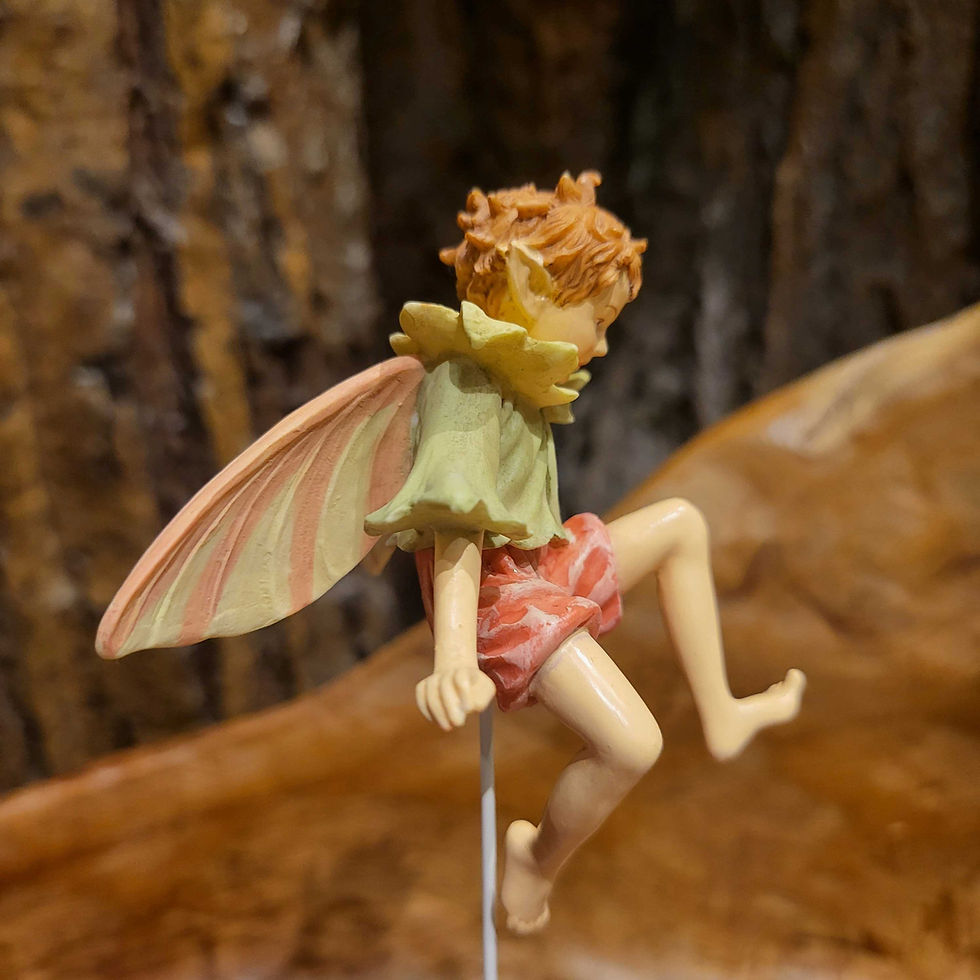 Thumbnail: Sycamore flower fairy m.c. barker cicely mary elf fee bloem fantasy cottagecore