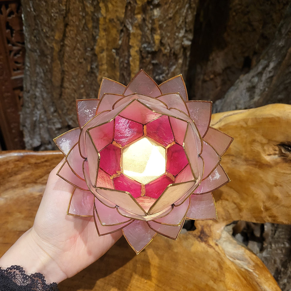 Waxinehouder candle holder kaars roze pink fantasy winkel store shop lotus bloem flower