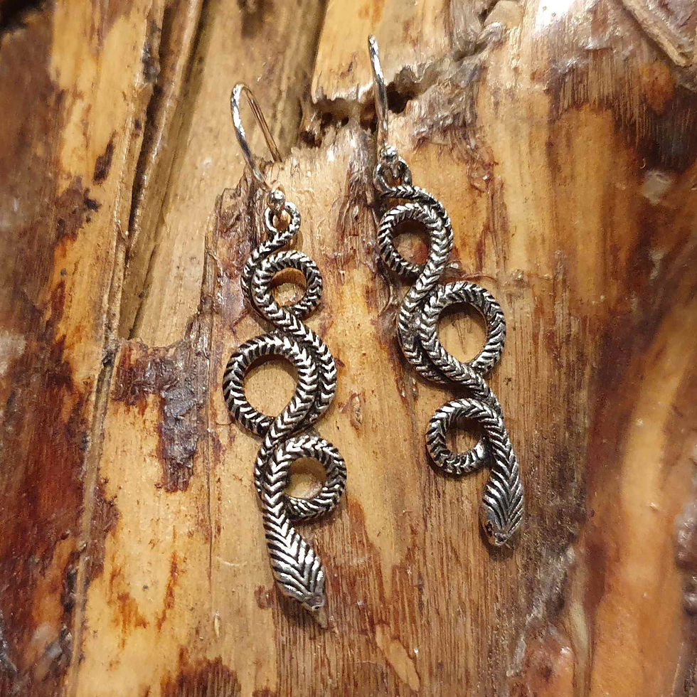 snake earrings silver zilveren slangenoorbellen sieradenwinkel amsterdam