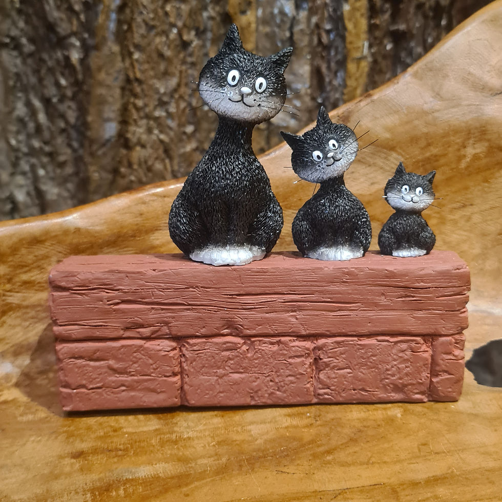Thumbnail: cats alone, hunting cats, sleeping cats, cat families, cats inD love, sneaking cats and very happy cats. "Enjoying the view "