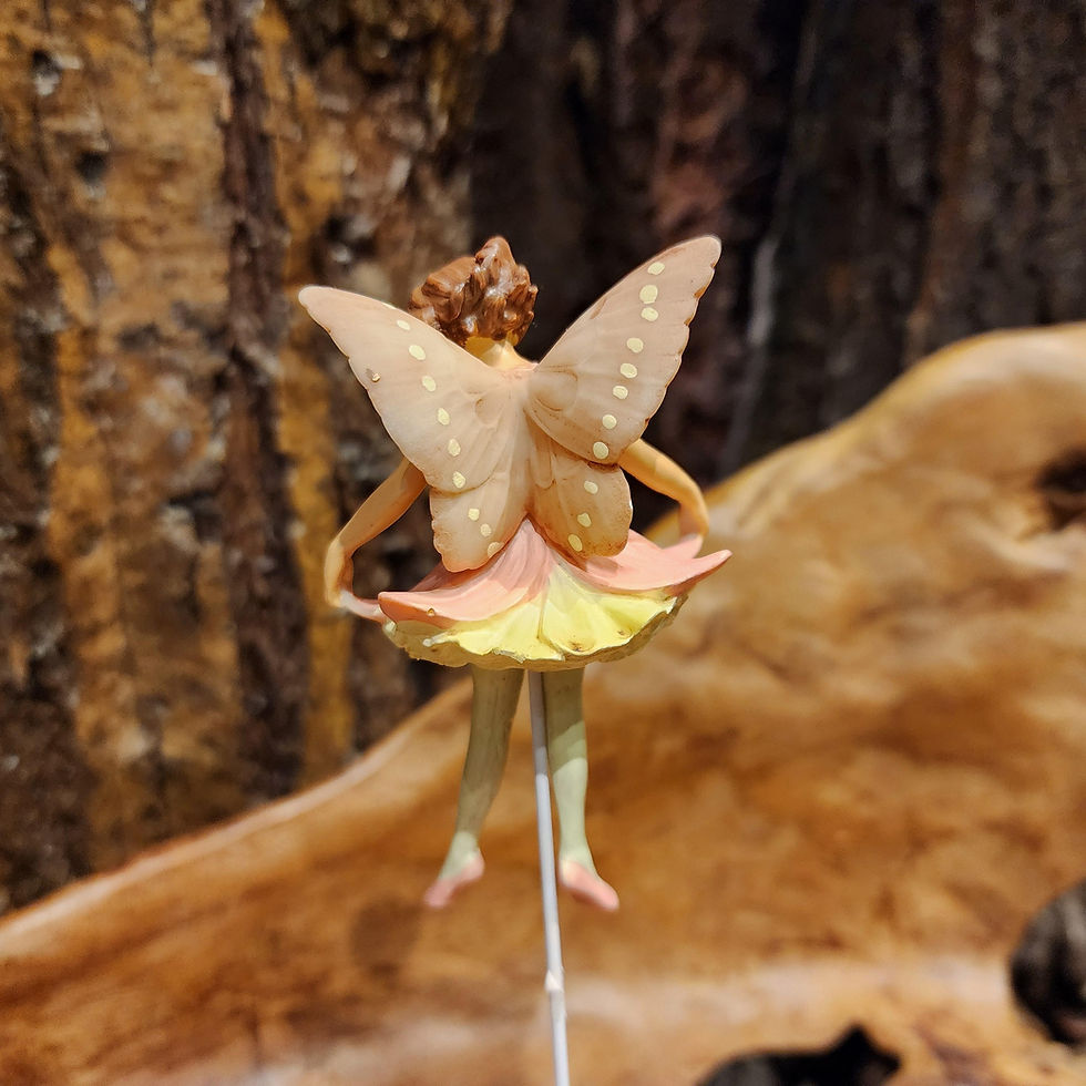 Thumbnail: Columbine flower fairy bloem elfje fantasy by Cicely Mary Barker.