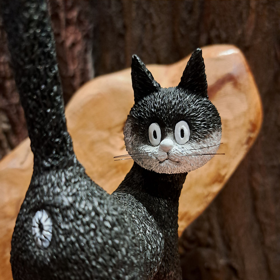 dubout kat cat third eye dieren animals black kitty