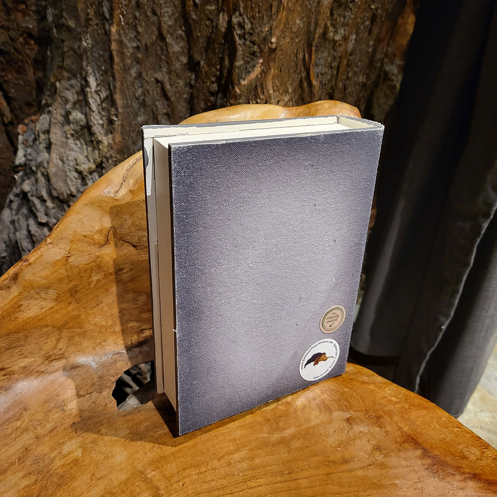 Thumbnail: the magic of crystals book box boek doos secret kristallen decor interieur  fantasy shop chimera