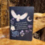 night flight sodalie pen notebook journal fantasy book lined magie spellbook dagboek