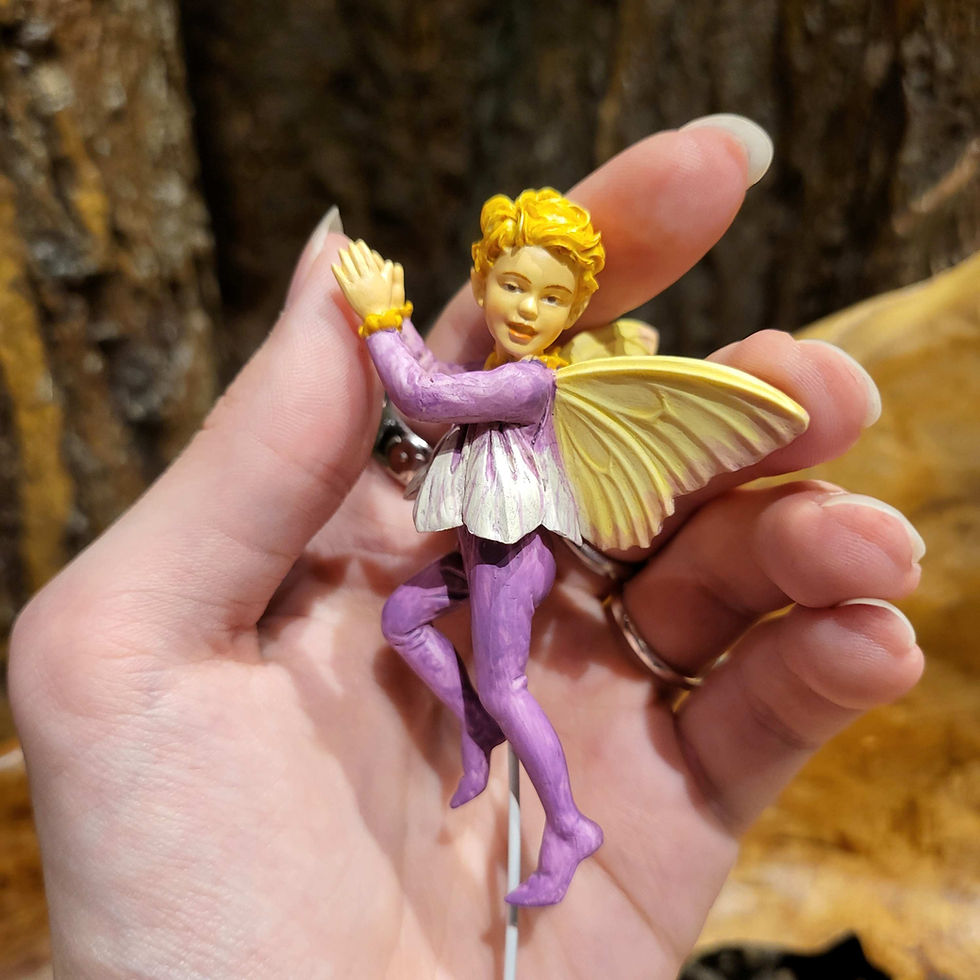 Thumbnail: Crocus boy flower fairy m.c. barker cicely mary elf fee bloem fantasy cottagecore