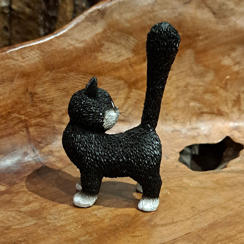 Thumbnail: dubout kat cat third eye derde oog animal crazy funny black figuur beeldje