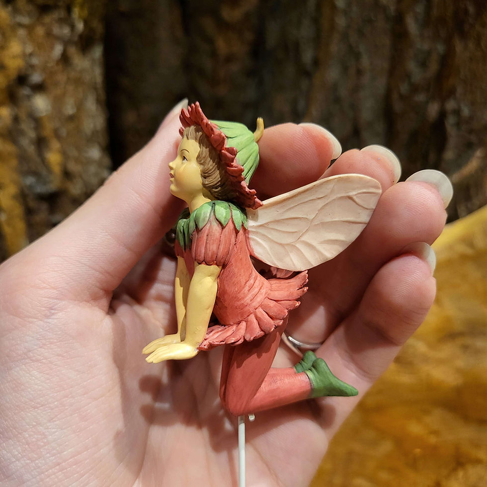 Thumbnail: Double daisy flower fairy m.c. barker cicely mary elf fee bloem fantasy cottagecore