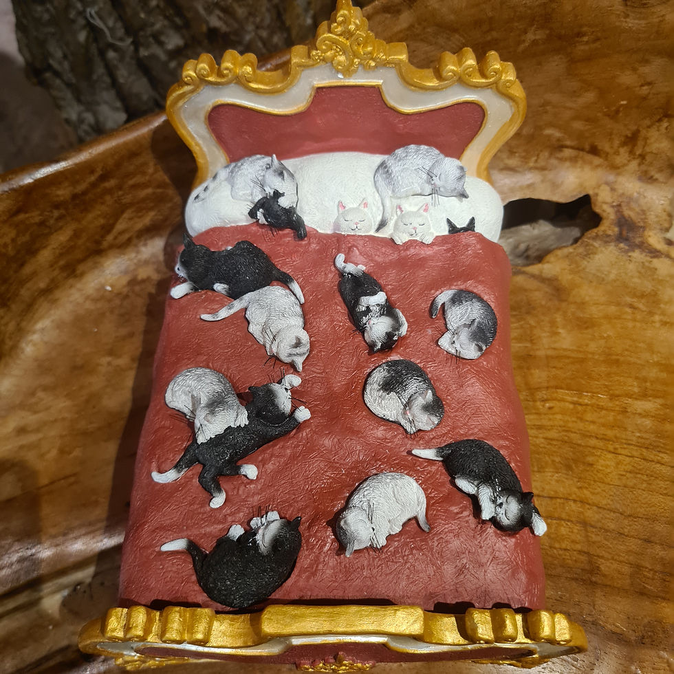 Thumbnail: cats on the bed dubout katten cats black kitty