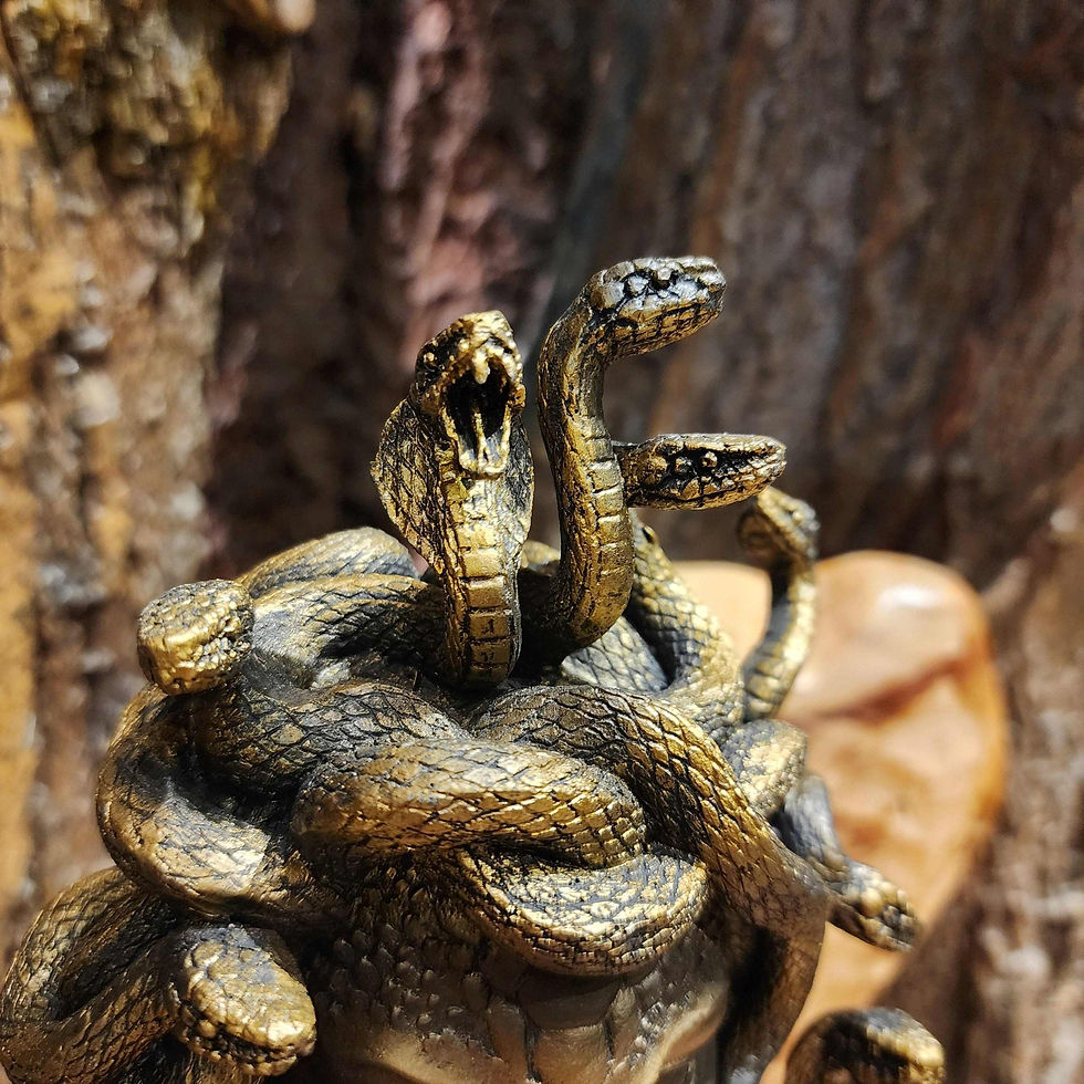 Thumbnail: medusa bust goddes snake serpent queen statue