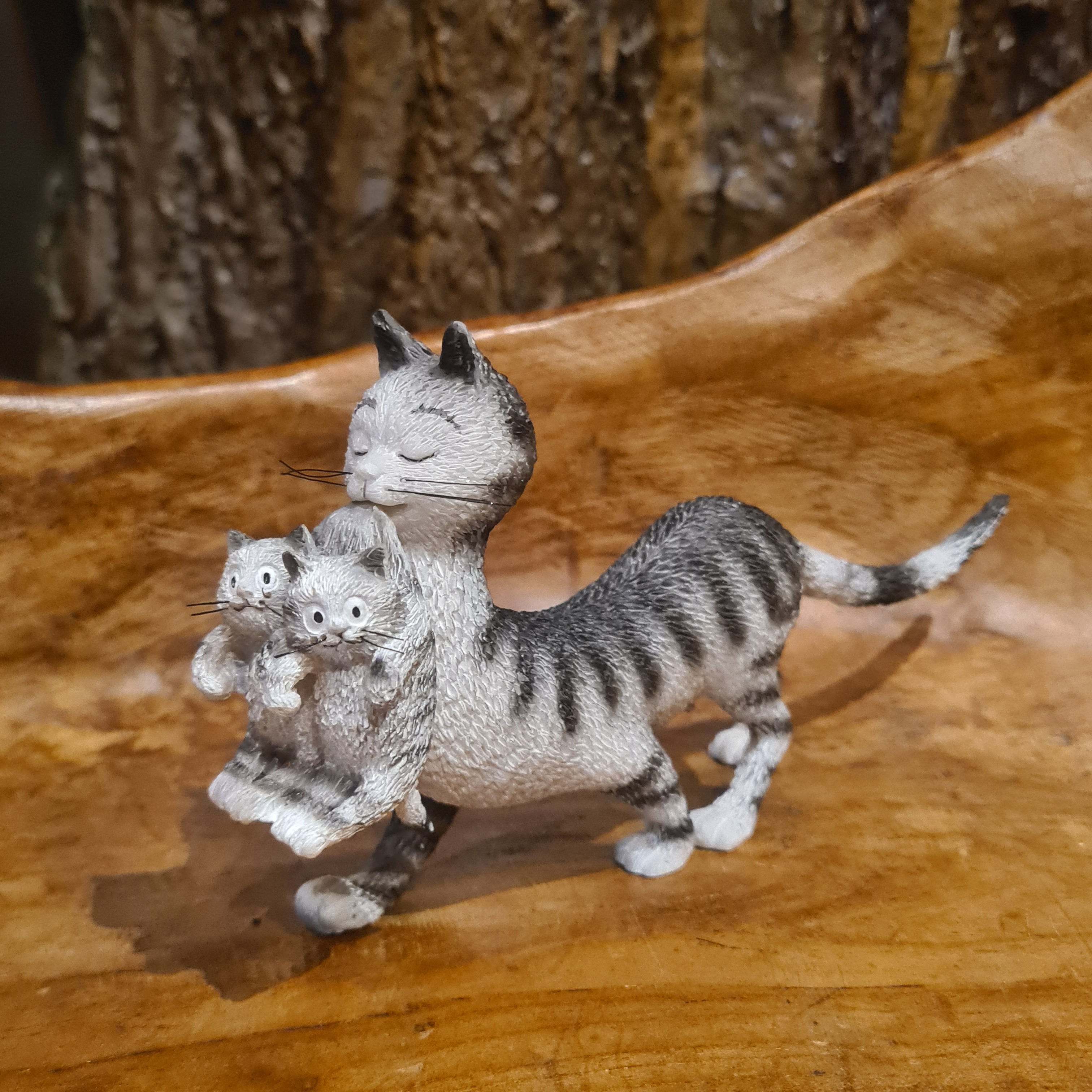 Lets go home black kitty^