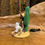 Thumbnail: Boracho mexican day of the dead mexicaans dag van de doden dia de muertos cactus  drunk dronken Figuur Figurine Fantasy