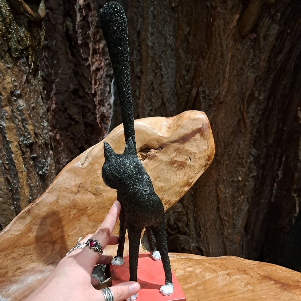 Thumbnail: dubout kat cat third eye dieren animals black kitty