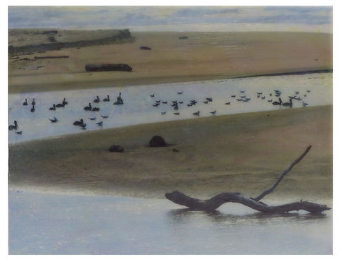 Bean Hollow Beach.jpg