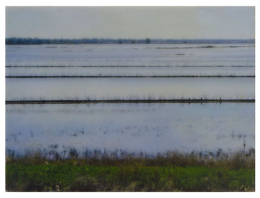 Yolo Basin 9 Vernal Equinox.JPG