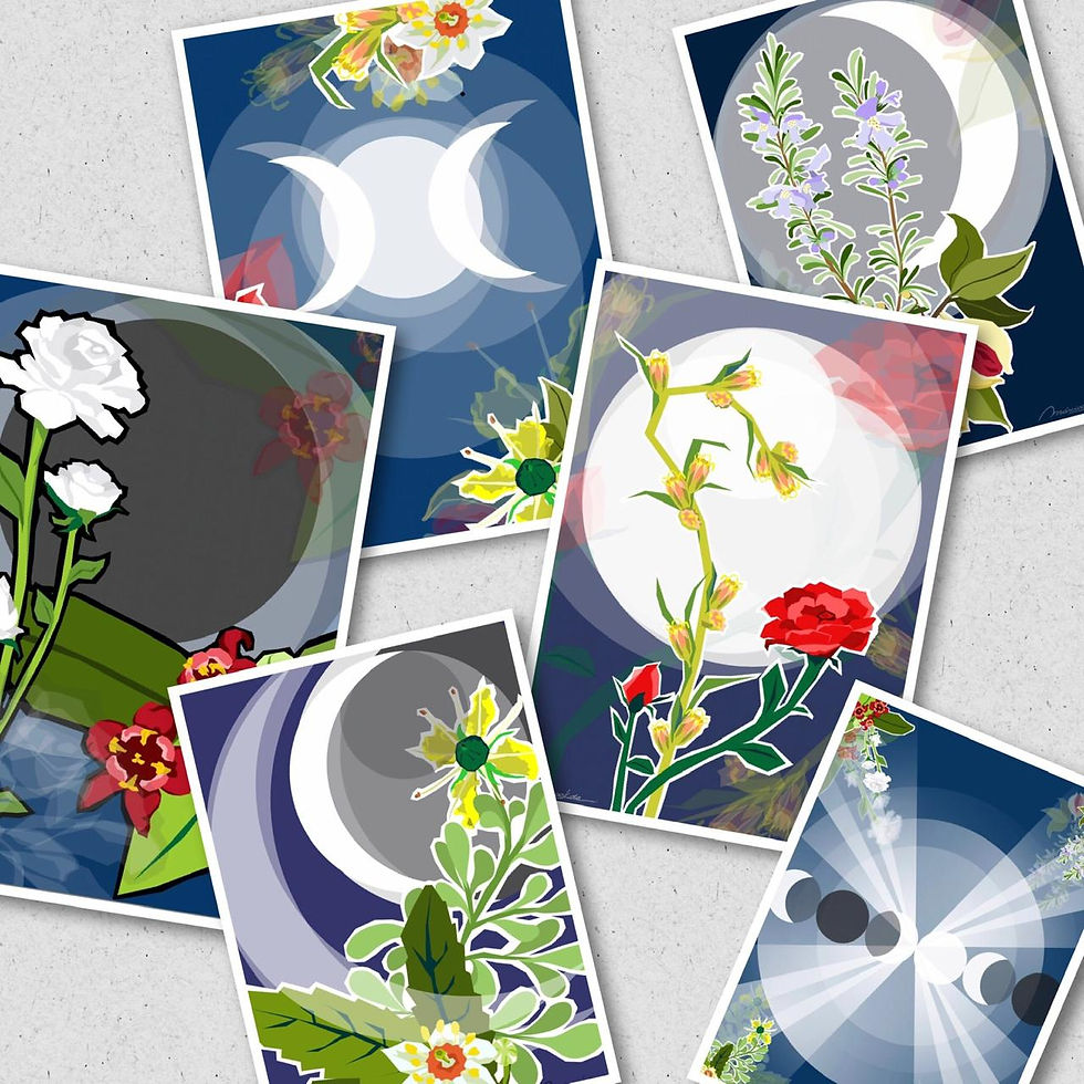 Okida Design
