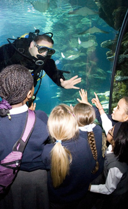 School-Children-and-Diver-2.png