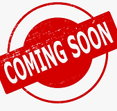 Screenshot 2023-07-11 085112.png