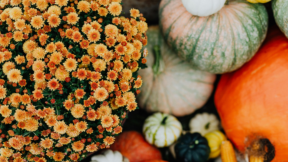 Fall decor