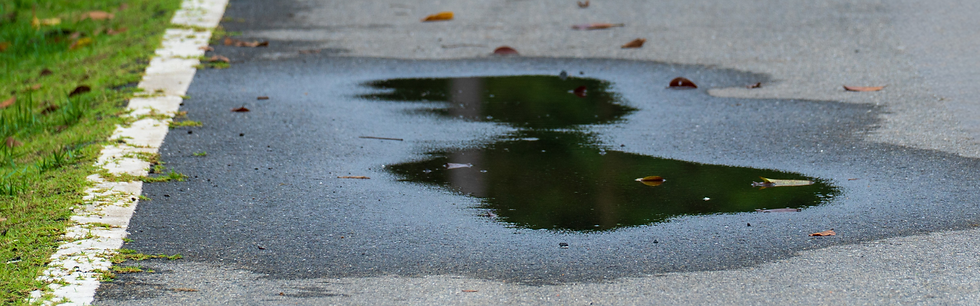 water pooled up on the pavement next to a strip of grass.