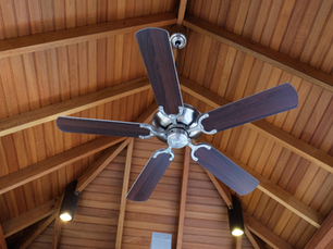 Ceiling fan
