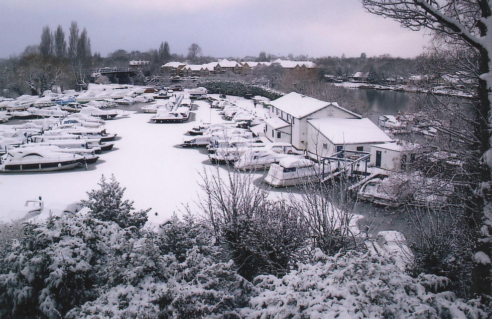Walton+on+Thames+Marina+Jan+11+001.jpg