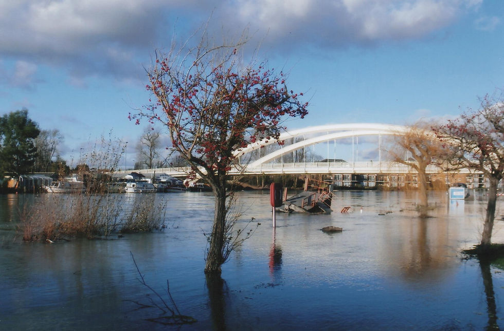 Walton+on+Thames+Floods+Jan+2014+001.jpg