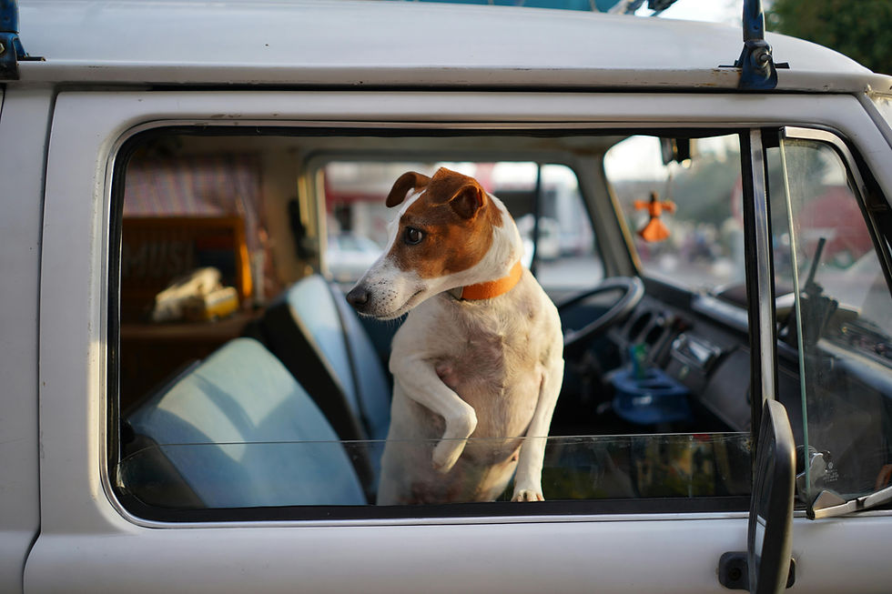 Summer Travel & Separation Anxiety: You Deserve a Break Too